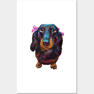 Roxy the Dachshund with her pink bow by Robert Phelps Posters and Art